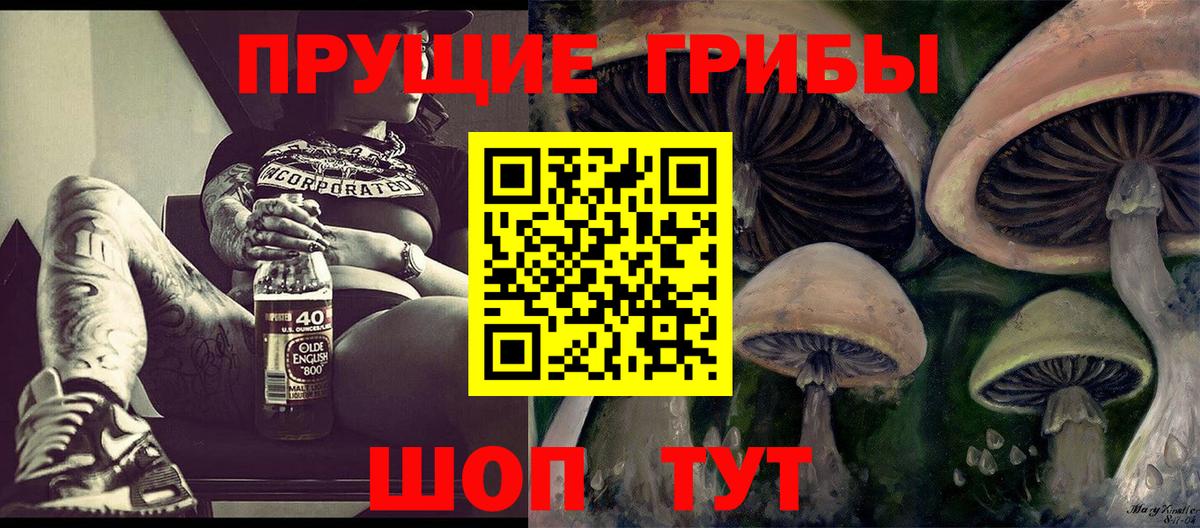 Ногинск  Галлюциногенные грибы мухоморы  Псилоцибиновые грибы Psilocybine cubensis  Вход с VPN 