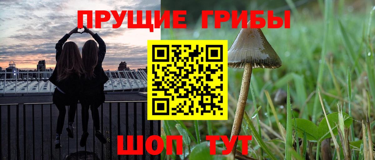 Галлюциногенные грибы Psilocybine cubensis Ногинск